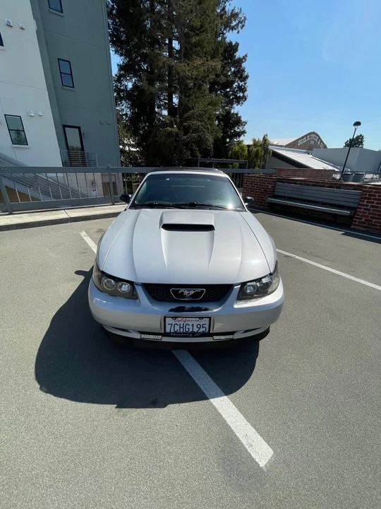 2002 Ford SN95 Mustang - Image 4 of 9