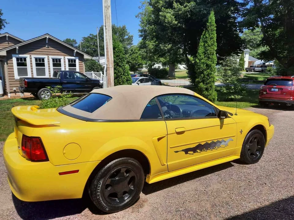 2002 Ford SN95 Mustang - Image 4 of 4