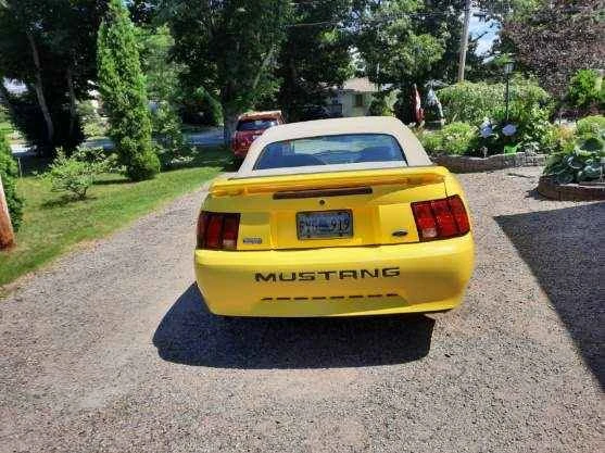 2002 Ford SN95 Mustang - Image 3 of 4