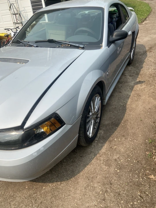 2002 Ford SN95 Mustang - Image 8 of 17