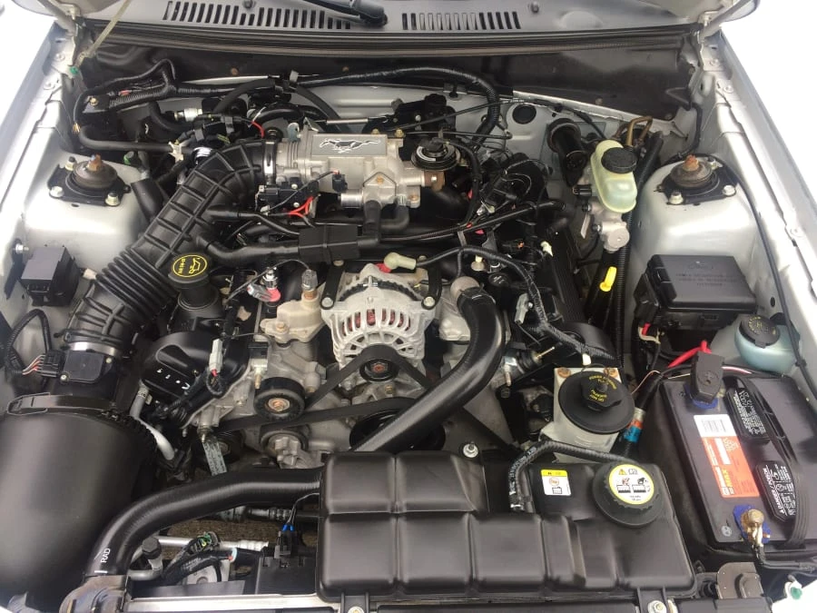2002 Ford SN95 Mustang - Image 5 of 5