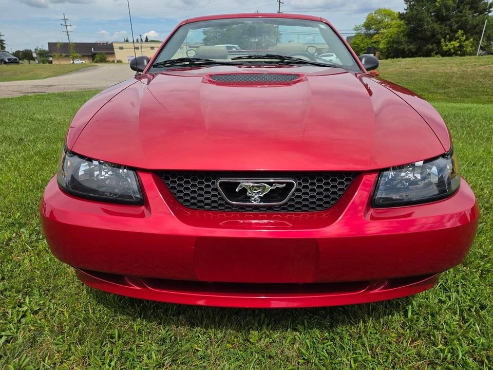 2002 Ford SN95 Mustang - Image 11 of 31