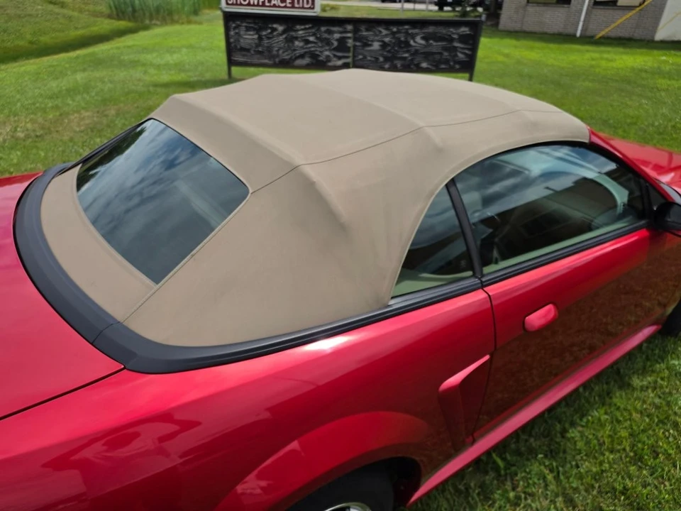 2002 Ford SN95 Mustang - Image 7 of 31