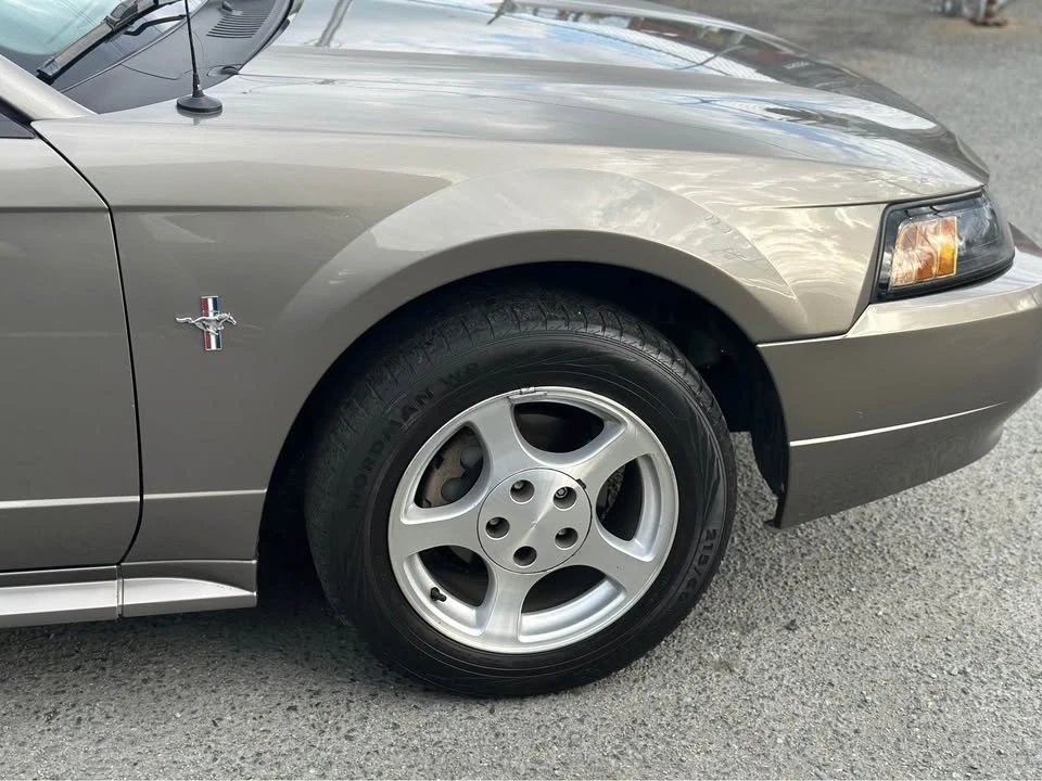 2002 Ford SN95 Mustang - Image 5 of 17