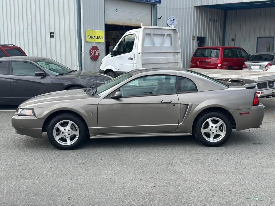 2002 Ford SN95 Mustang - Image 7 of 17
