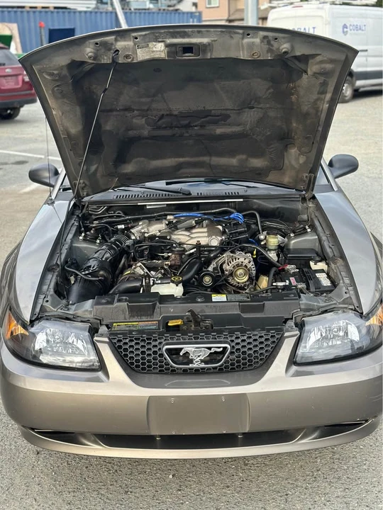 2002 Ford SN95 Mustang - Image 10 of 17