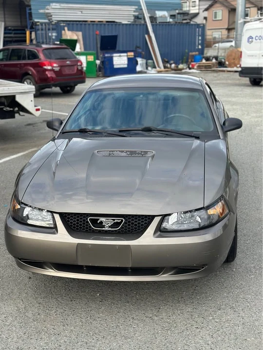 2002 Ford SN95 Mustang - Image 6 of 17
