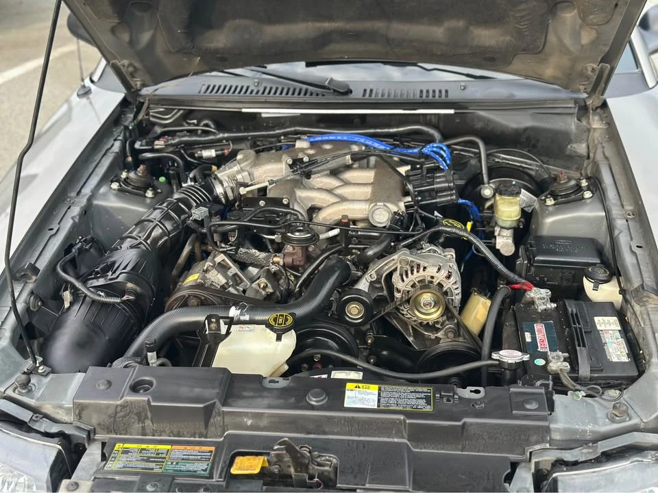 2002 Ford SN95 Mustang - Image 16 of 17