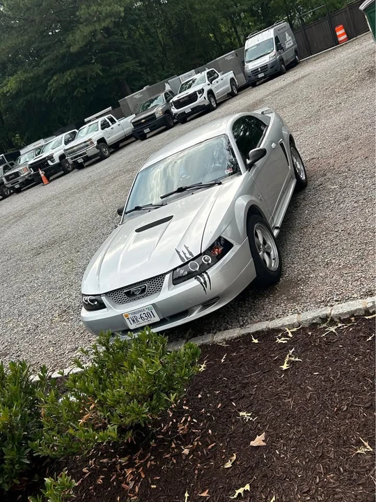 2002 Ford SN95 Mustang - Image 4 of 5