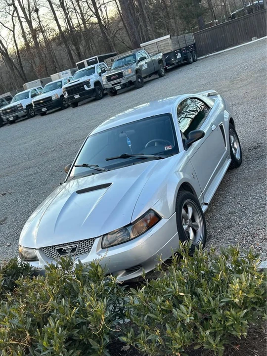 2002 Ford SN95 Mustang - Image 5 of 5