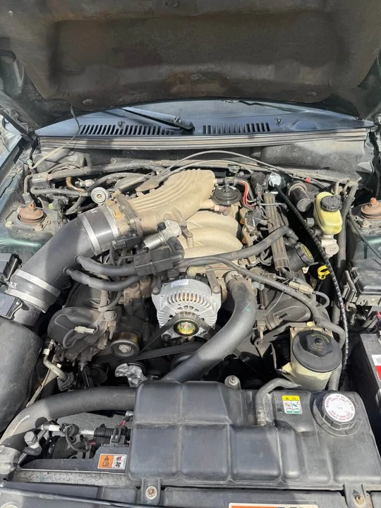 2002 Ford SN95 Mustang - Image 8 of 9
