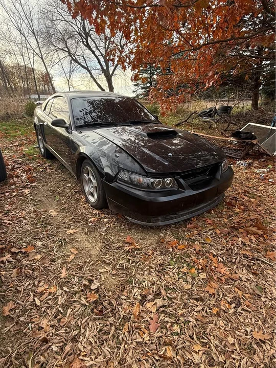 2002 Ford SN95 Mustang - Image 12 of 12