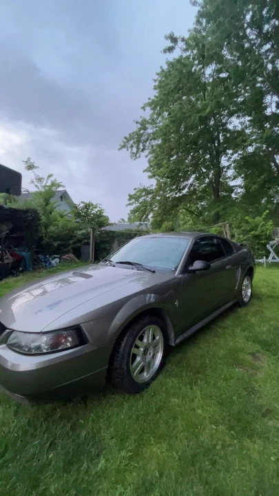 2002 Ford SN95 Mustang - Image 2 of 17