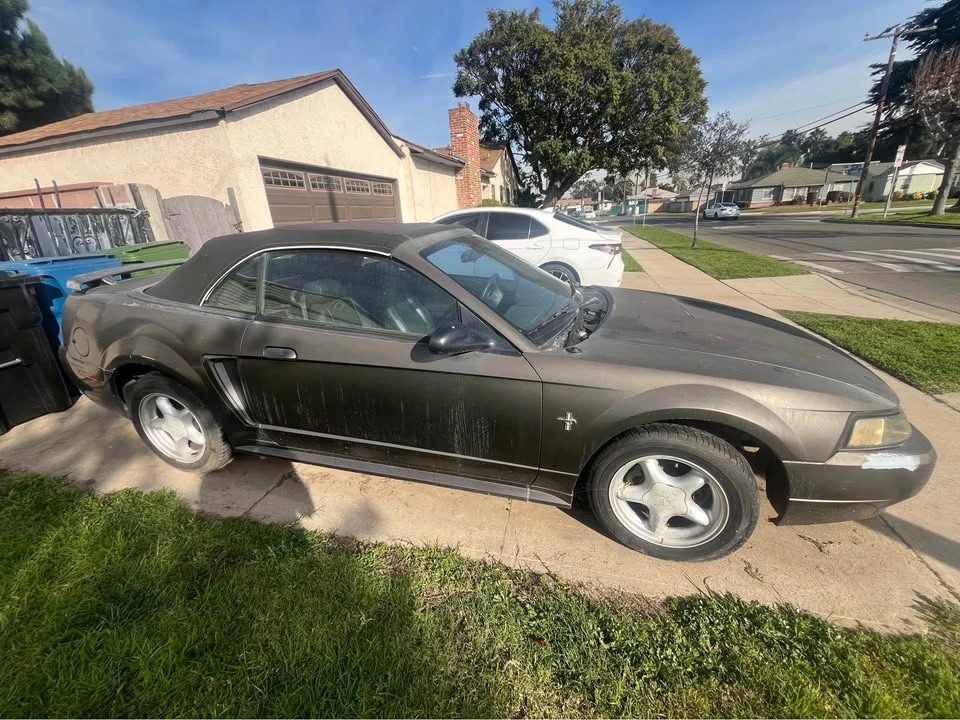 2002 Ford SN95 Mustang - Image 4 of 16