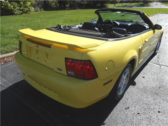 2002 Ford SN95 Mustang - Image 3 of 12