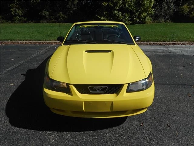2002 Ford SN95 Mustang - Image 11 of 12