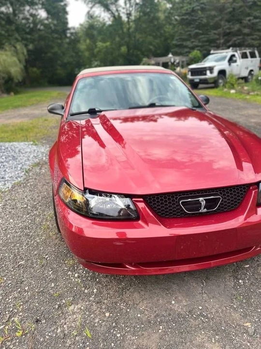2002 Ford SN95 Mustang Cobra - Image 4 of 16