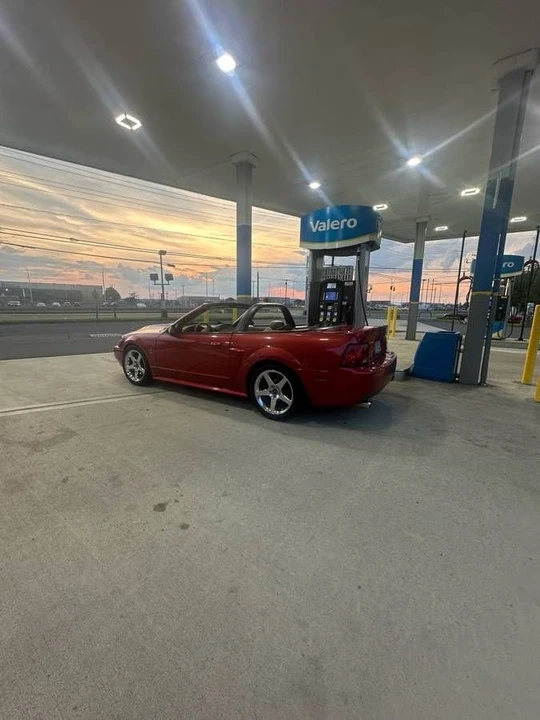 2002 Ford SN95 Mustang Cobra - Image 2 of 16