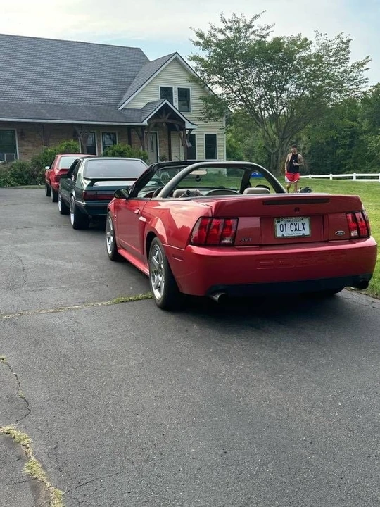 2002 Ford SN95 Mustang Cobra - Image 5 of 16