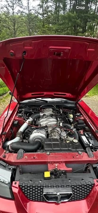 2002 Ford SN95 Mustang Cobra - Image 14 of 16