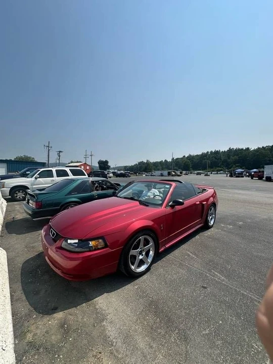 2002 Ford SN95 Mustang Cobra - Image 7 of 16