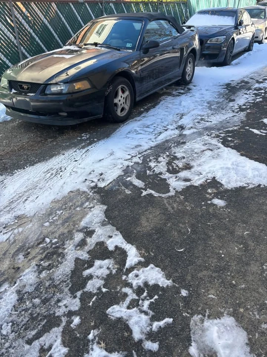 2002 Ford SN95 Mustang - Image 3 of 3