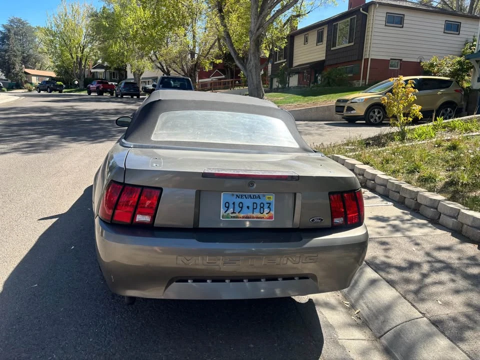 2002 Ford SN95 Mustang - Image 6 of 18