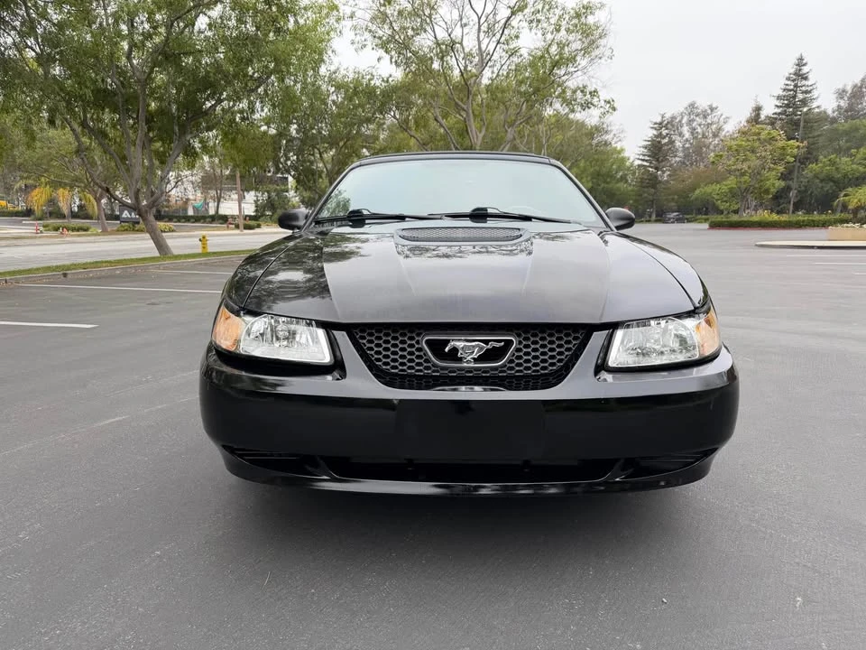 2002 Ford SN95 Mustang - Image 4 of 16