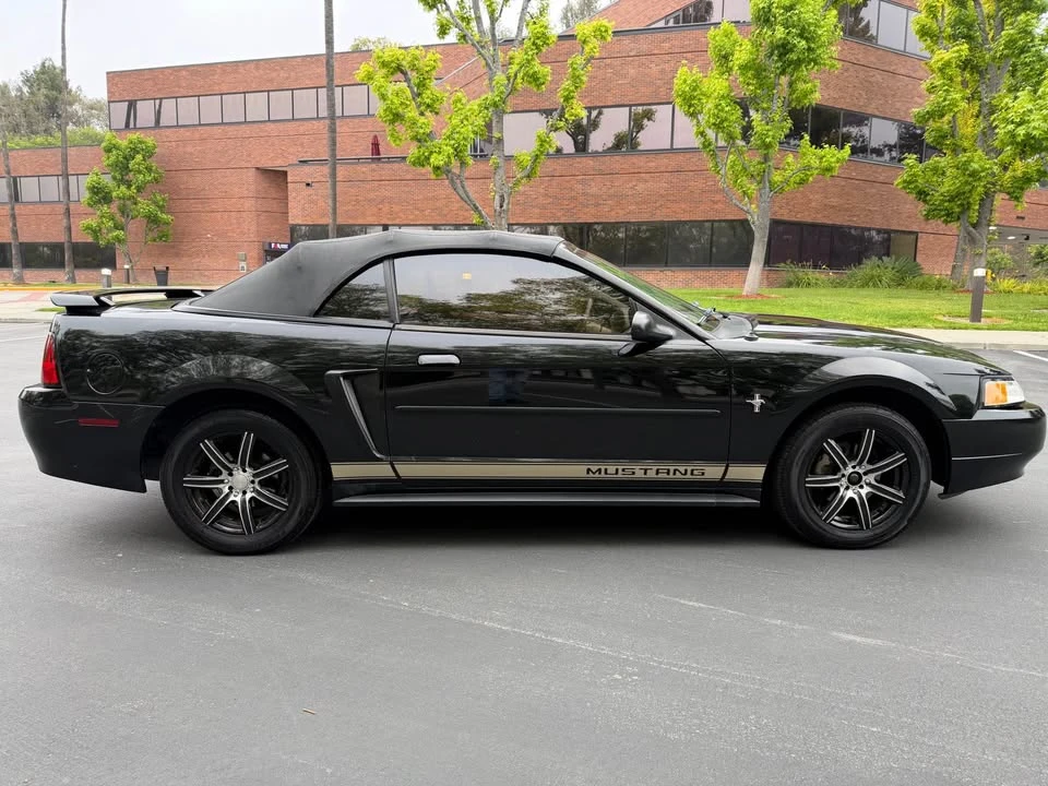 2002 Ford SN95 Mustang - Image 6 of 16