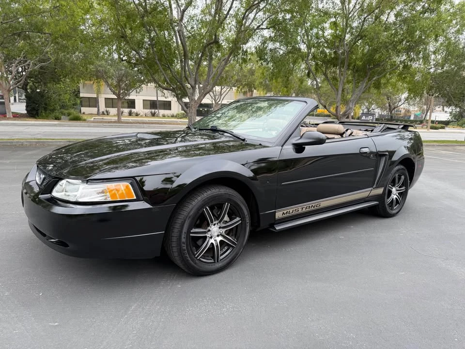 2002 Ford SN95 Mustang - Image 9 of 16