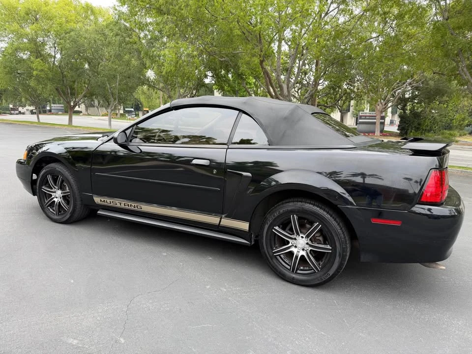 2002 Ford SN95 Mustang - Image 3 of 16