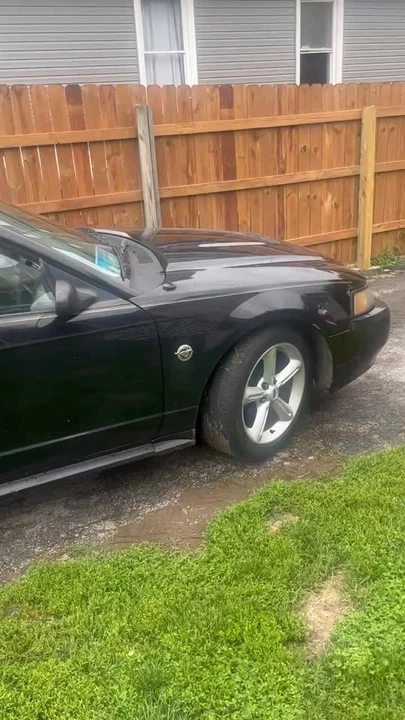 2002 Ford SN95 Mustang - Image 5 of 5
