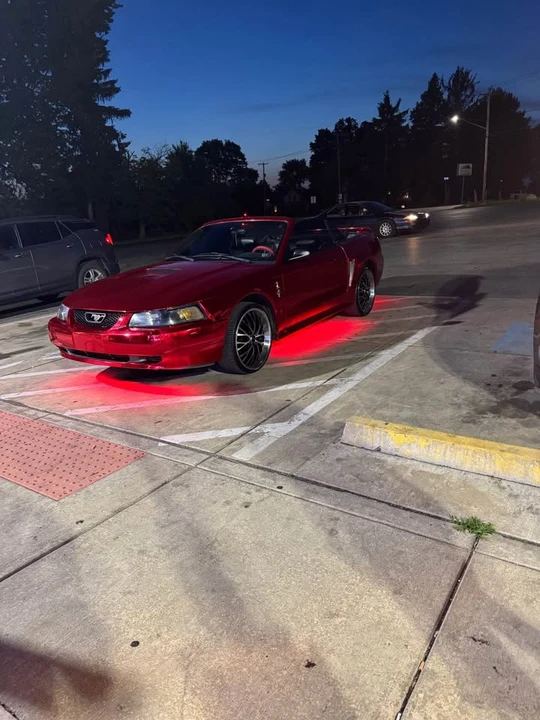 2002 Ford SN95 Mustang - Image 4 of 4