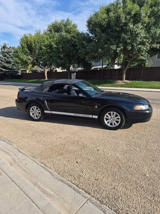 2002 Ford SN95 Mustang - Image 4 of 17