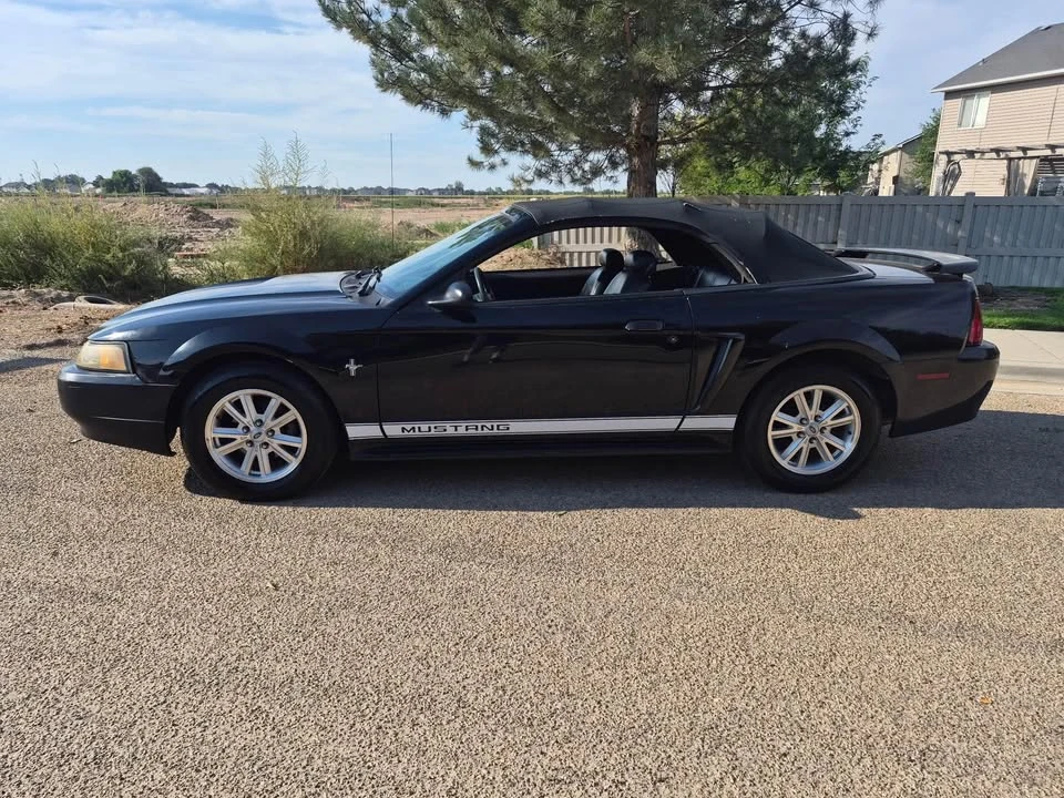2002 Ford SN95 Mustang - Image 8 of 17