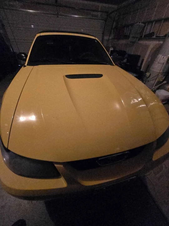 2002 Ford SN95 Mustang - Image 4 of 5