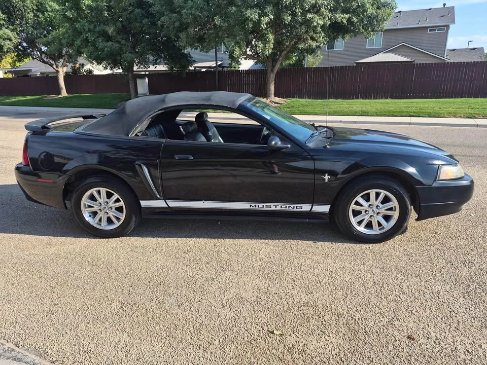 2002 Ford SN95 Mustang - Image 6 of 17