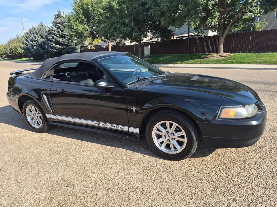 2002 Ford SN95 Mustang - Image 5 of 17