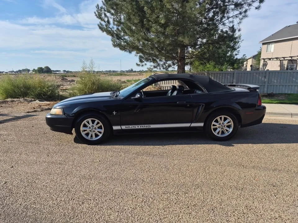 2002 Ford SN95 Mustang - Image 2 of 17
