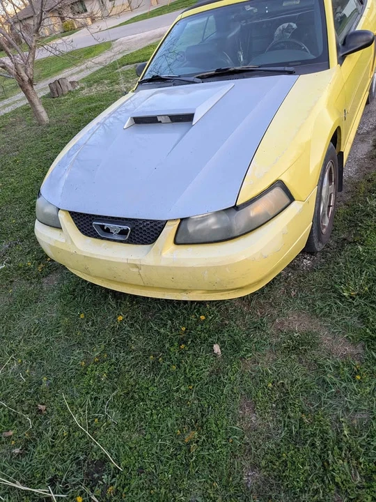 2002 Ford SN95 Mustang - Image 2 of 12