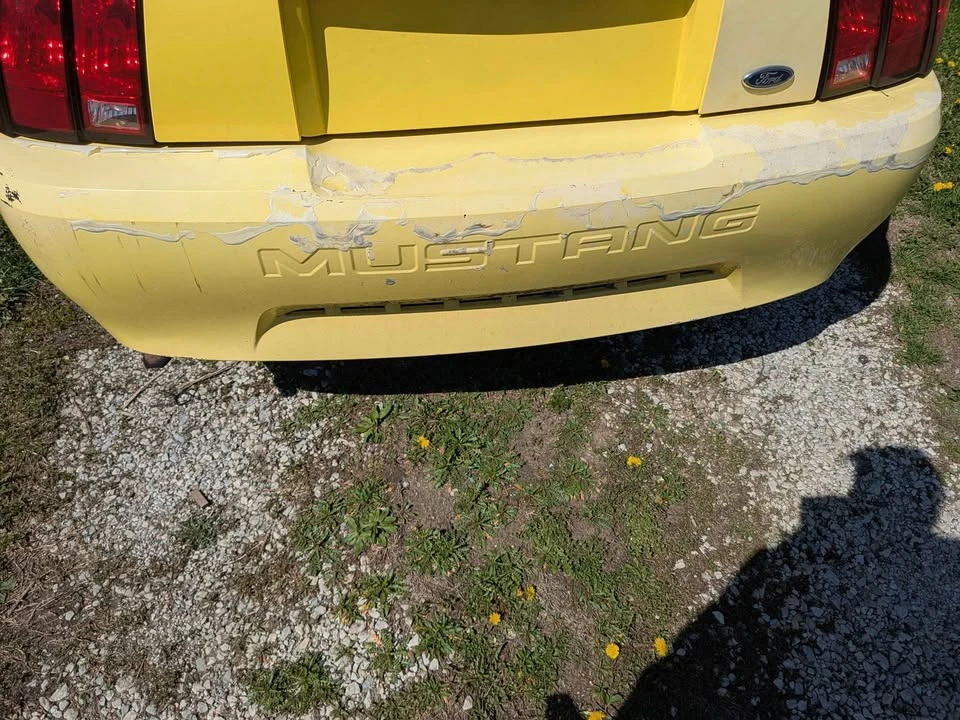 2002 Ford SN95 Mustang - Image 7 of 12