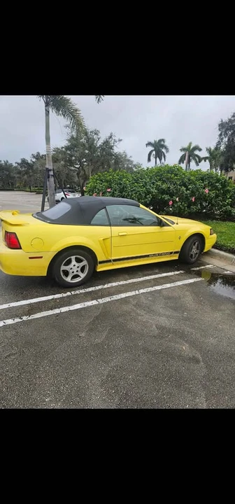 2002 Ford SN95 Mustang - Image 5 of 7