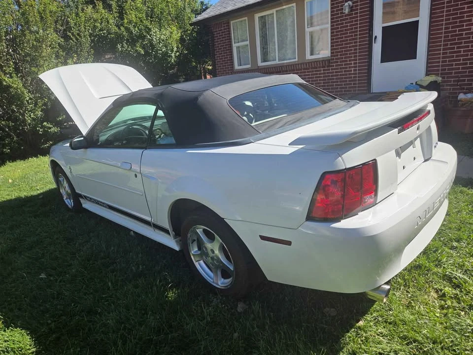 2002 Ford SN95 Mustang - Image 6 of 9