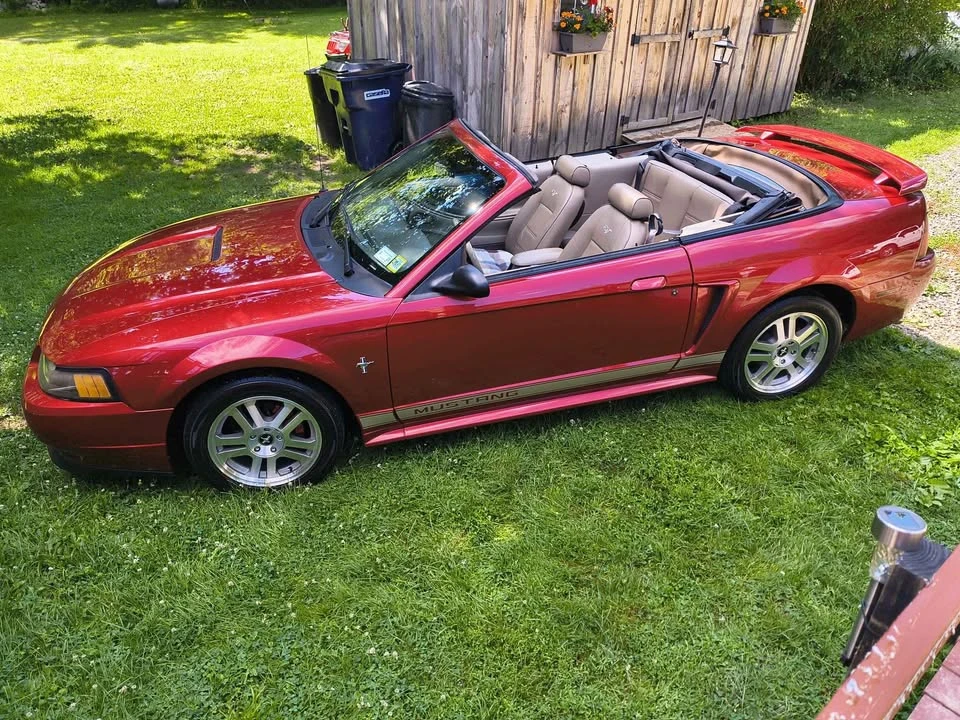 2002 Ford SN95 Mustang - Image 2 of 6