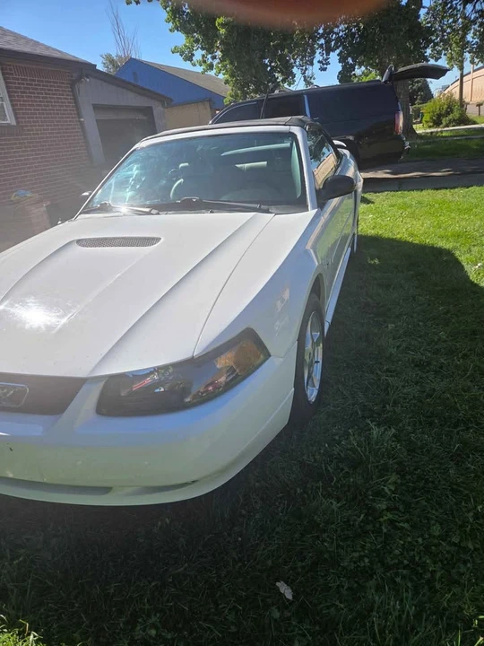 2002 Ford SN95 Mustang - Image 5 of 9