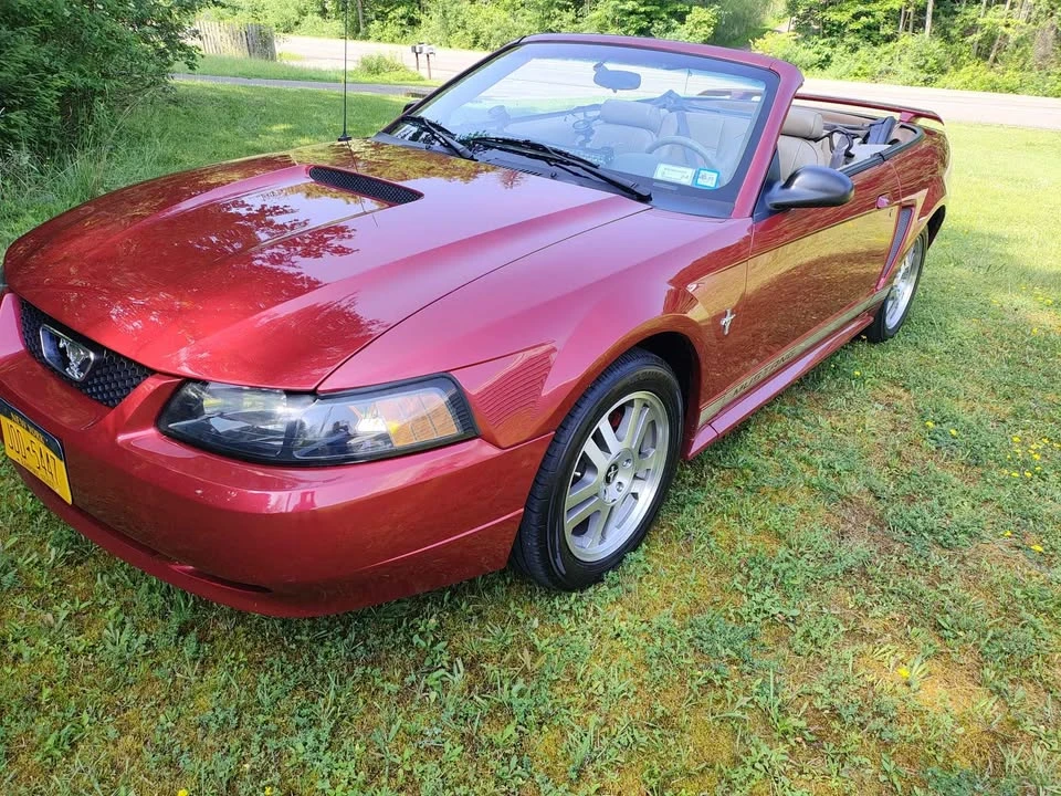 2002 Ford SN95 Mustang - Image 6 of 6