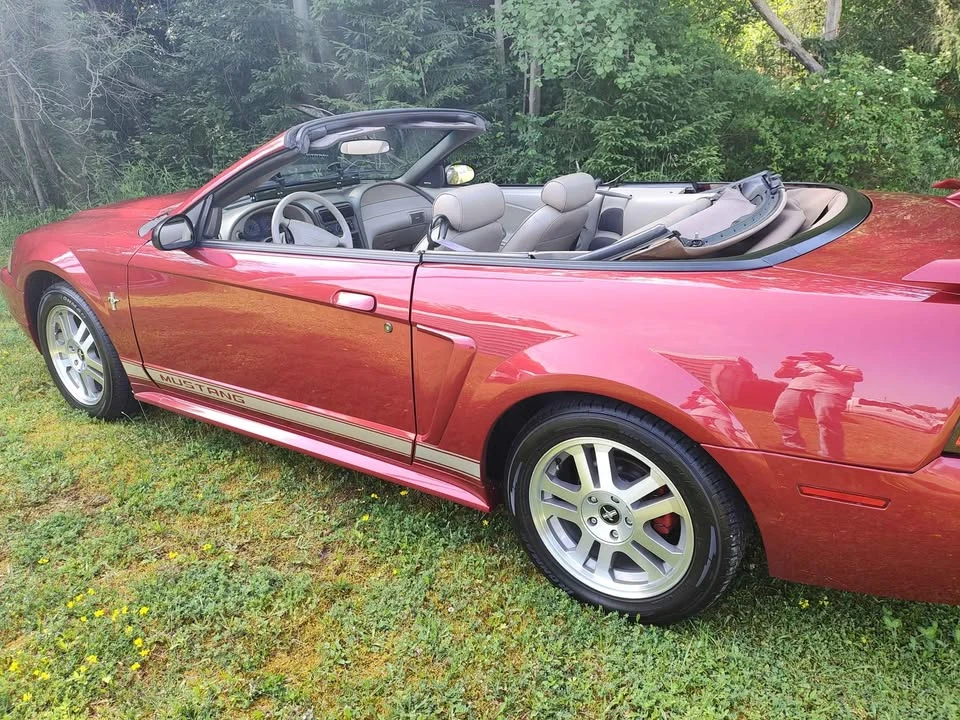 2002 Ford SN95 Mustang - Image 5 of 6