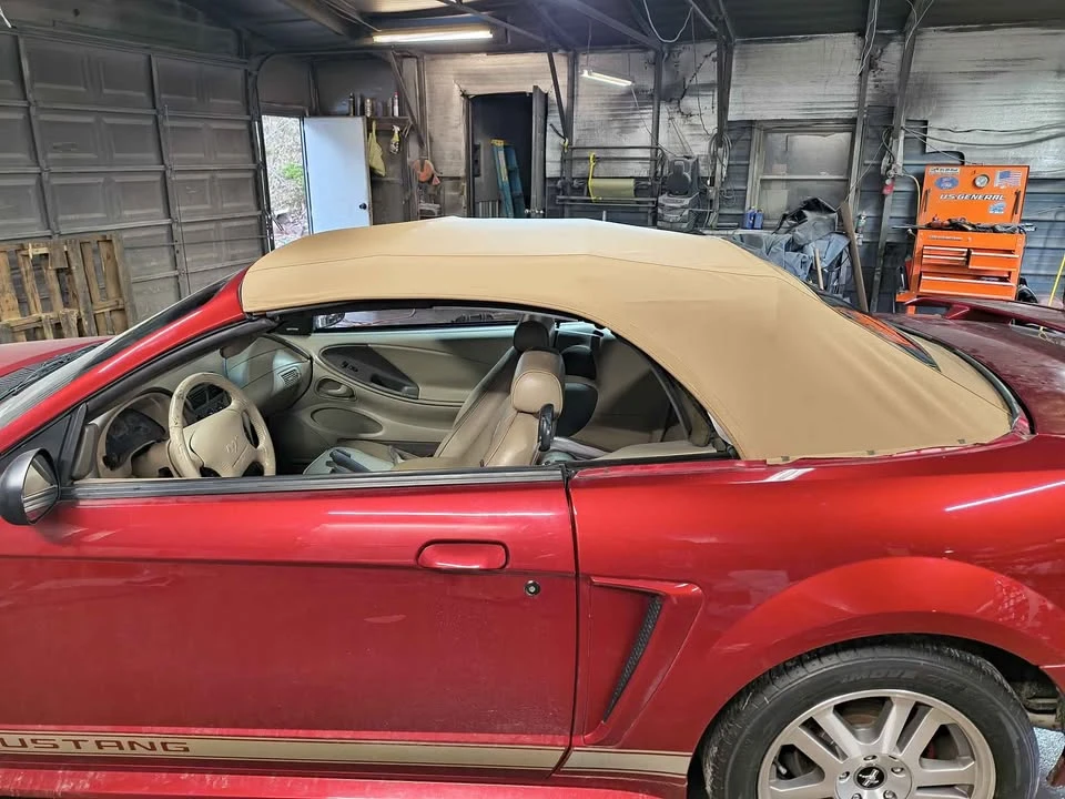 2002 Ford SN95 Mustang - Image 3 of 6