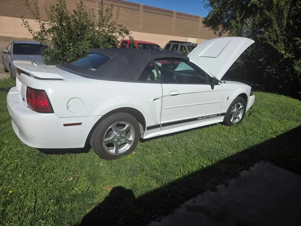 2002 Ford SN95 Mustang - Image 2 of 9