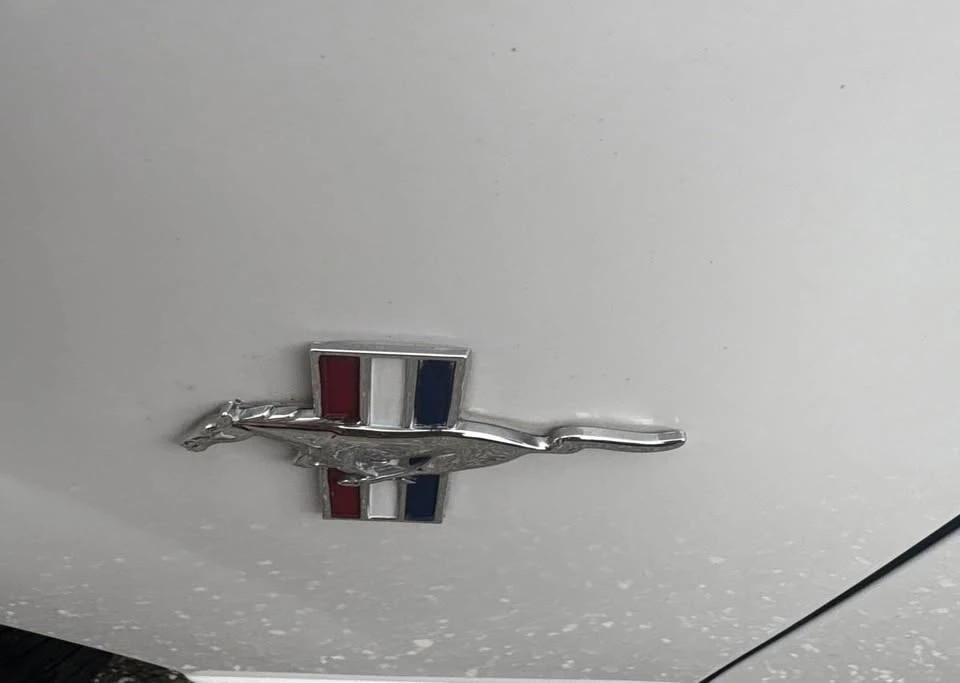 2002 Ford SN95 Mustang - Image 14 of 14